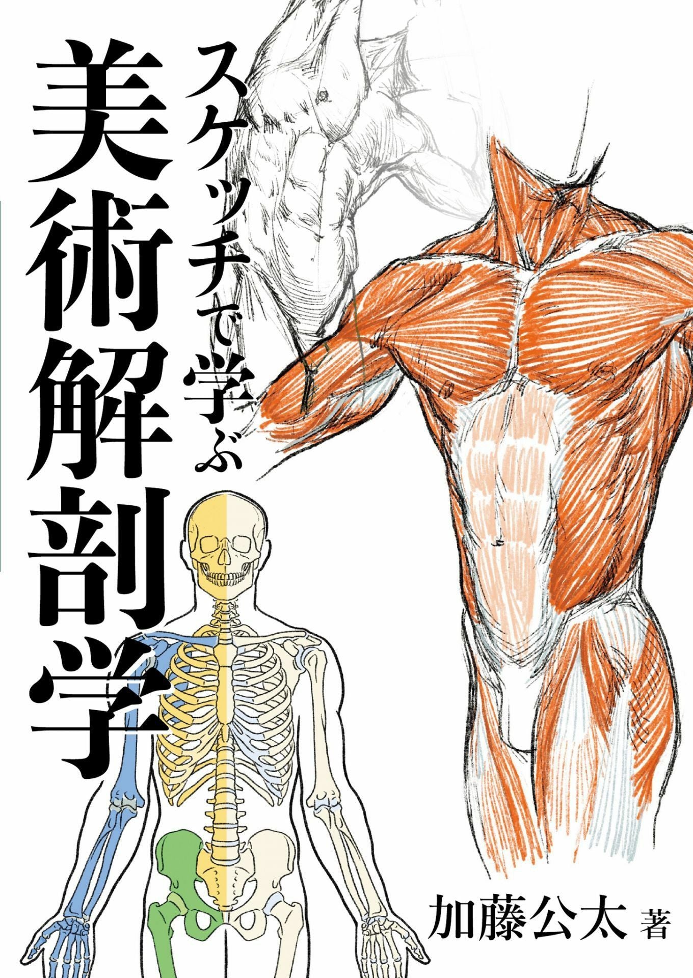 Art Anatomy Learned From Sketches [スケッチで学ぶ美術解剖学]